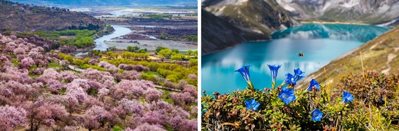 中國美容博覽會(huì)