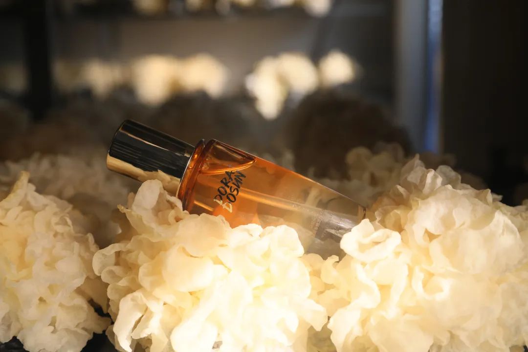 中國美容博覽會 中國美容博覽會