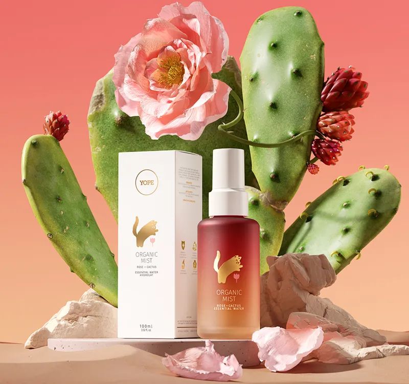 中國美容博覽會 中國美容博覽會