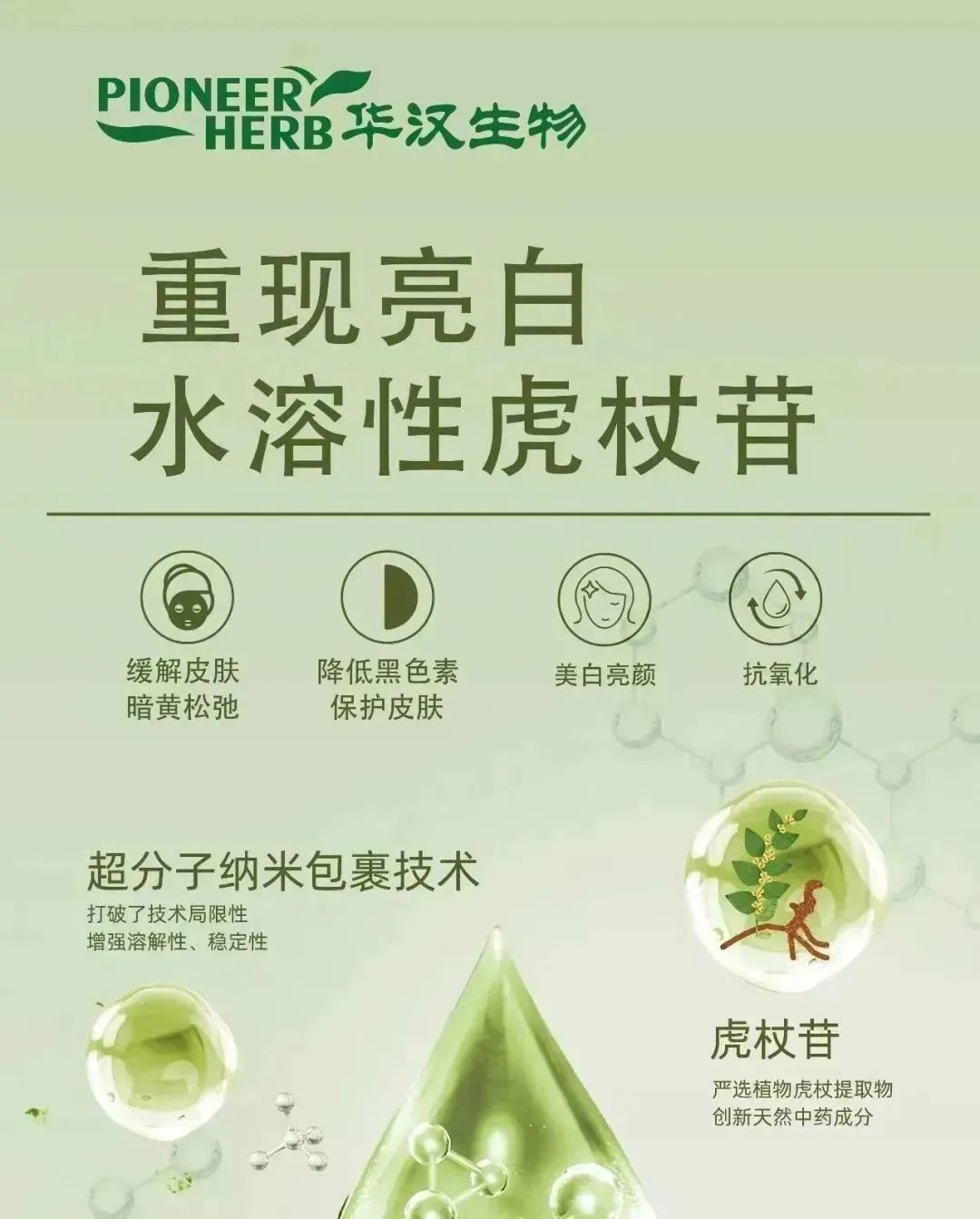 中國美容博覽會(huì) 中國美容博覽會(huì)