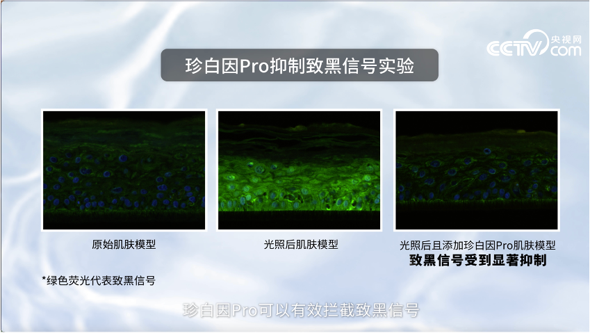 中國美容博覽會