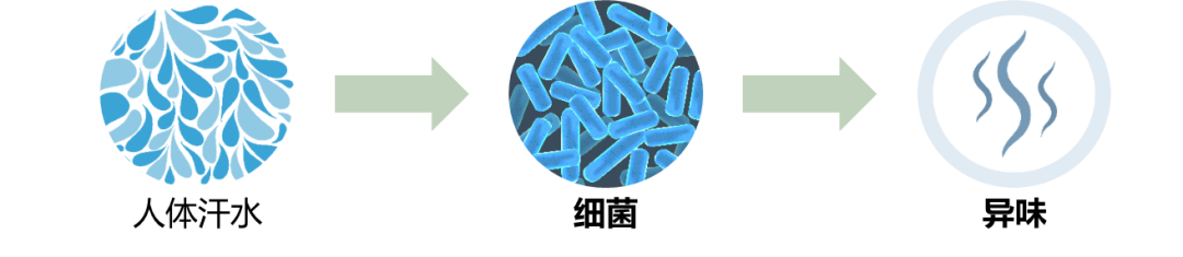 中國美容博覽會