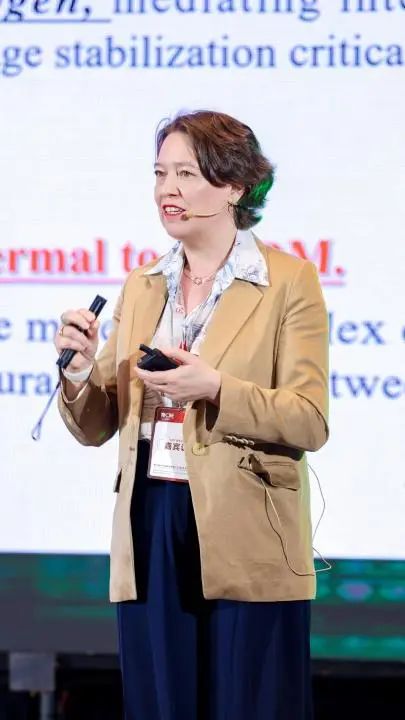 中國(guó)美容博覽會(huì)