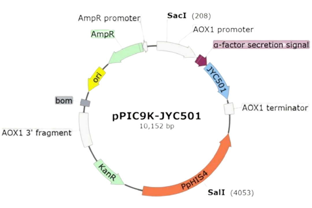 中國(guó)美容博覽會(huì)